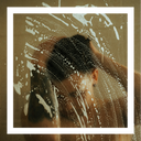 A Curated Clean: What to Look For In A Clean Shampoo